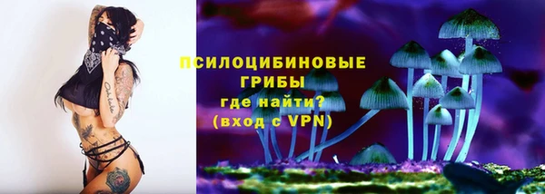 ECSTASY Волосово