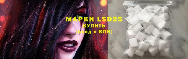 шишки Верхний Тагил