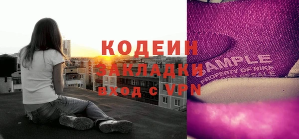 шишки Верхний Тагил