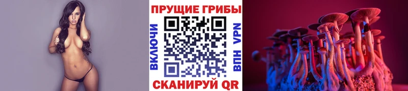 Купить закладки Кольчугино Псилоцибиновые грибы мухоморы