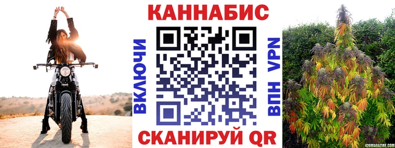 Купить где  Кольчугино  МАРИХУАНА планчик 